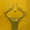 dracofulmen's icon