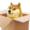 DogeTheBox's icon