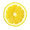 LemonSlave's icon