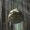 Spider8ite's icon