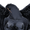 Scar-crow's icon