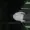 XSkillz's icon