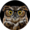 OwlTheHipster's icon
