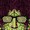 ToxicBlox's icon