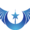 LightningFlameRider's icon