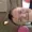 Cucumber69's icon
