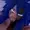 Khato-Zamanaki's icon