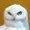 SovietPLYuSH's icon