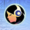SofLand's icon