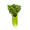CeleryAnimator's icon