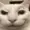 Razencro's icon
