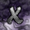 XImaPlayerX's icon