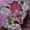 ToxicTelson's icon