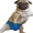 Dragisa's icon