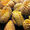 GUY-durian's icon