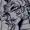 Dirachia's icon