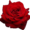 RedRos3's icon