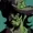 kengally's icon
