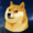 PolandDoge's icon