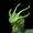 biggusgreenus's icon