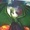 Quiblithesandwing's icon