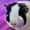 GuineaPigLord's icon