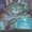 Nuttwing's icon