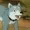 staygoldie's icon