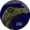 ibdinosaur's icon