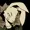 evilstapler's icon
