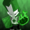GreenKnight54's icon