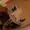 thiefyboi's icon