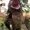 thatPotoo's icon