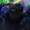 Panthertaur's icon
