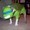 TroyRex106's icon