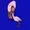 Opokabe's icon