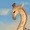 Giraffe1102's icon