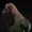 HapeeCartoons's icon
