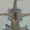Ascertabus's icon
