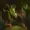 Crowfeet's icon