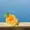 Maces's icon
