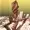 yourarmlessfella's icon
