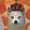 PIZZADAWG's icon