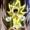 Derp-chara's icon
