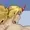 HappyHoshiguma's icon
