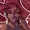 Zoquete's icon