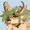 Ishamarus's icon