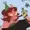HoneyDuMelon's icon