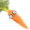 carrot0w0's icon