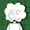 Animoun's icon
